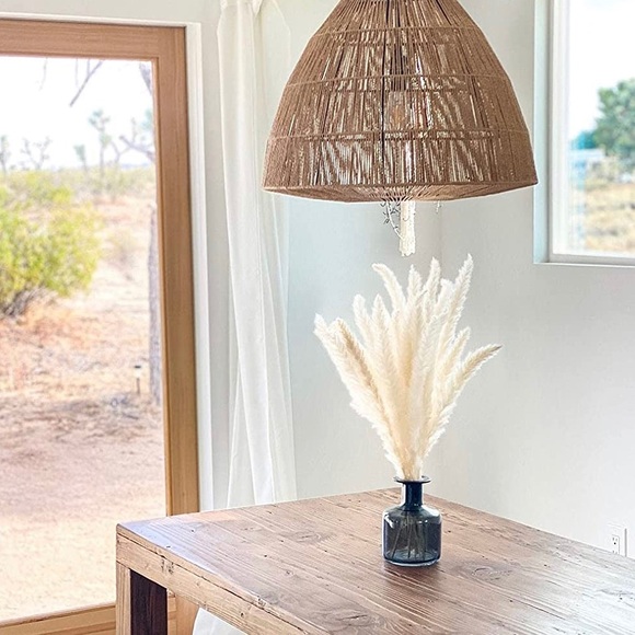 Pottery Barn Accents 5 Piece White Pampas Grass Poshmark